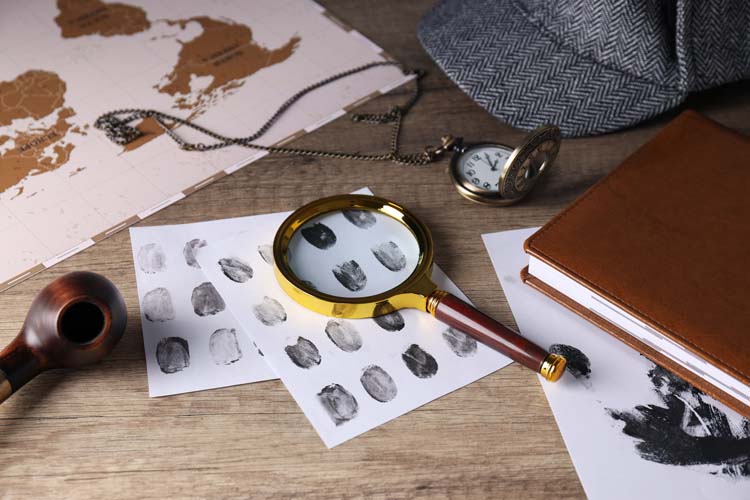 Domestic Investigations