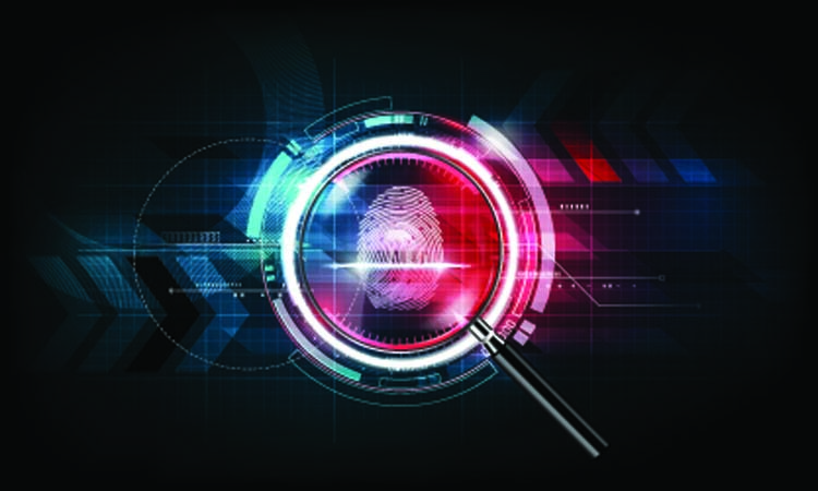 Vulnerability Assessment